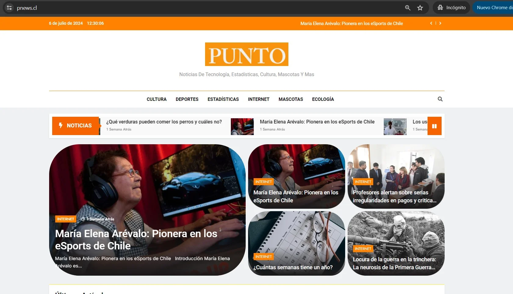 Creación de medios digitales - pnews.cl